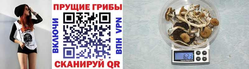 Купить  Азнакаево  Псилоцибиновые грибы прущие грибы 